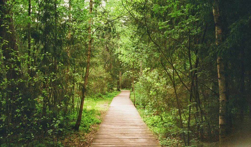 ART - Accelerated Resolution Therapy