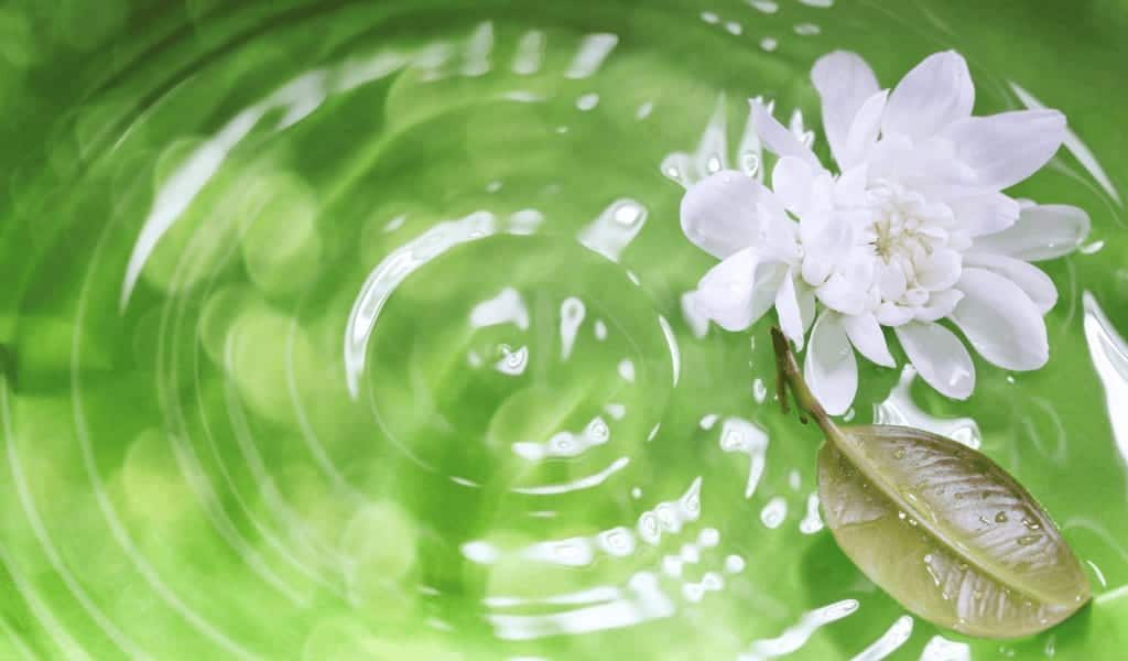 The impact of Therapy VA